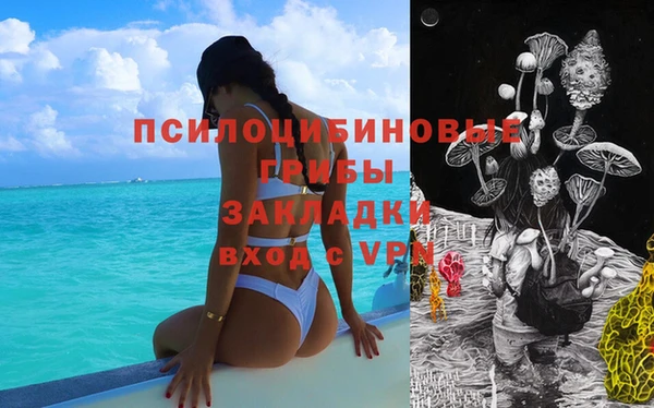 молекула духа Алексин